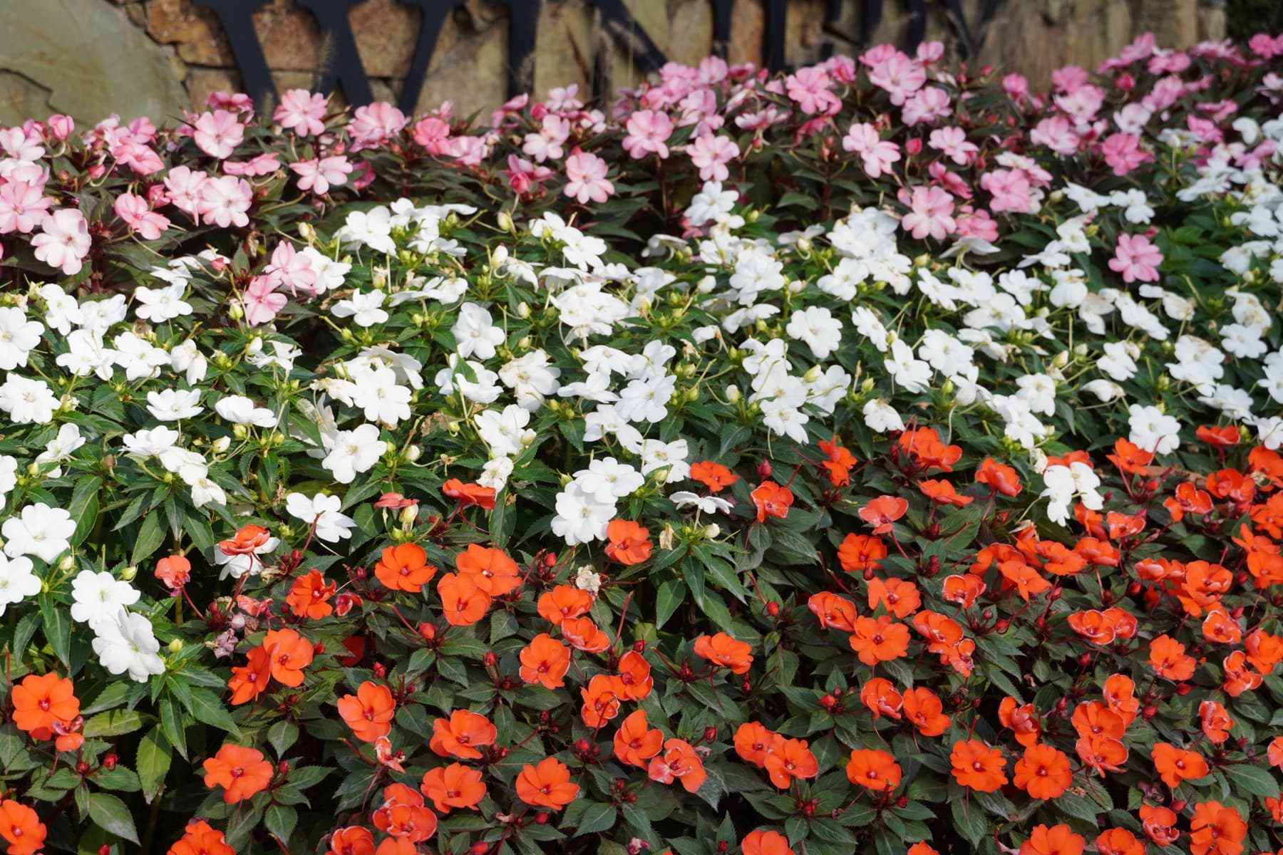 Seasonal color and landscape enhancements on a maintained property