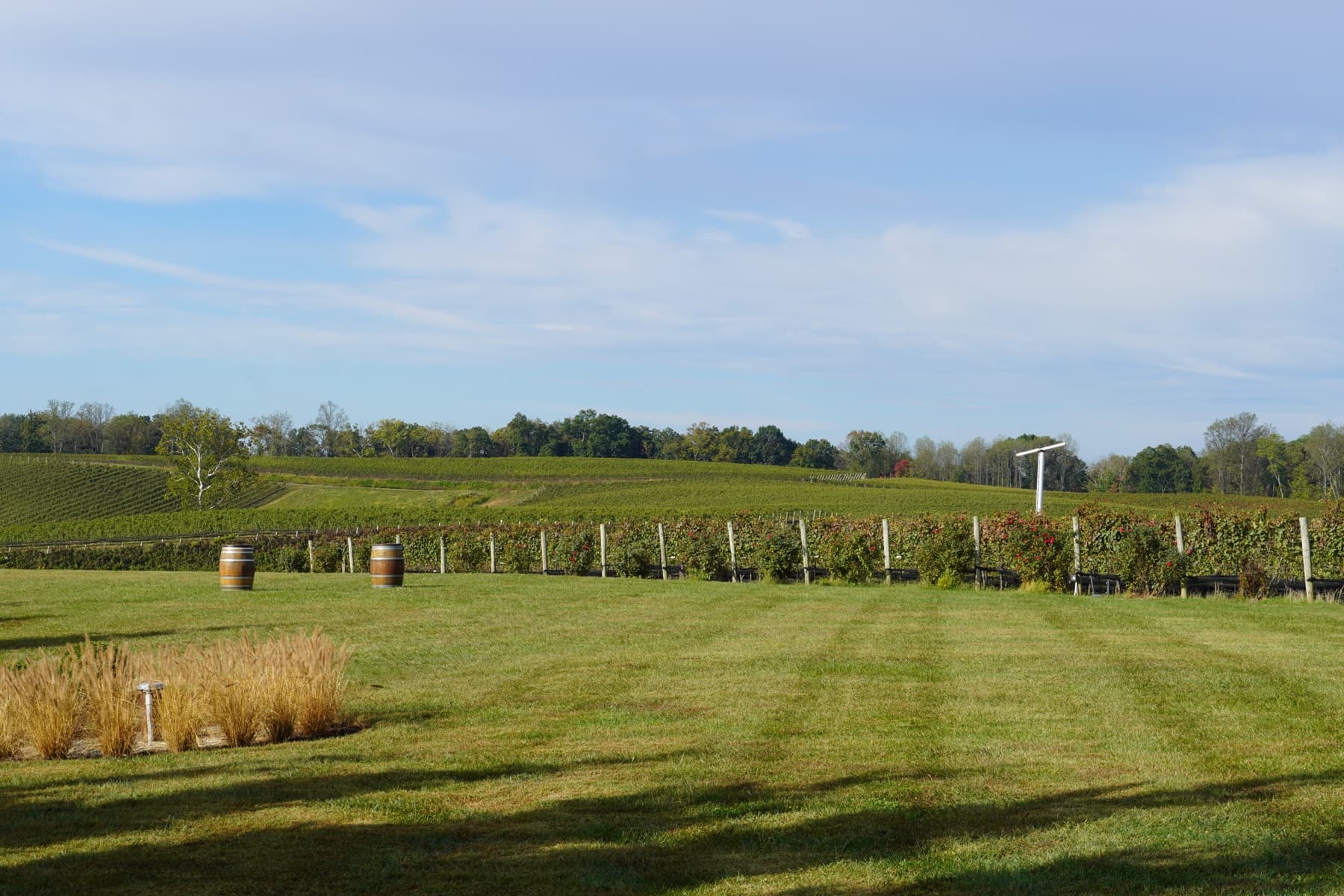 Well-maintained open green space